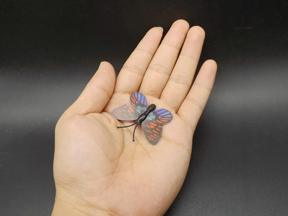 I246-Butterfly (5)
