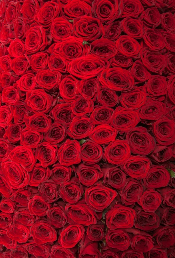 

Laeacco Rose Flowers Wall Photocall Wedding Photography Backgrounds Customized Photographic Backdrops For Photo Studio