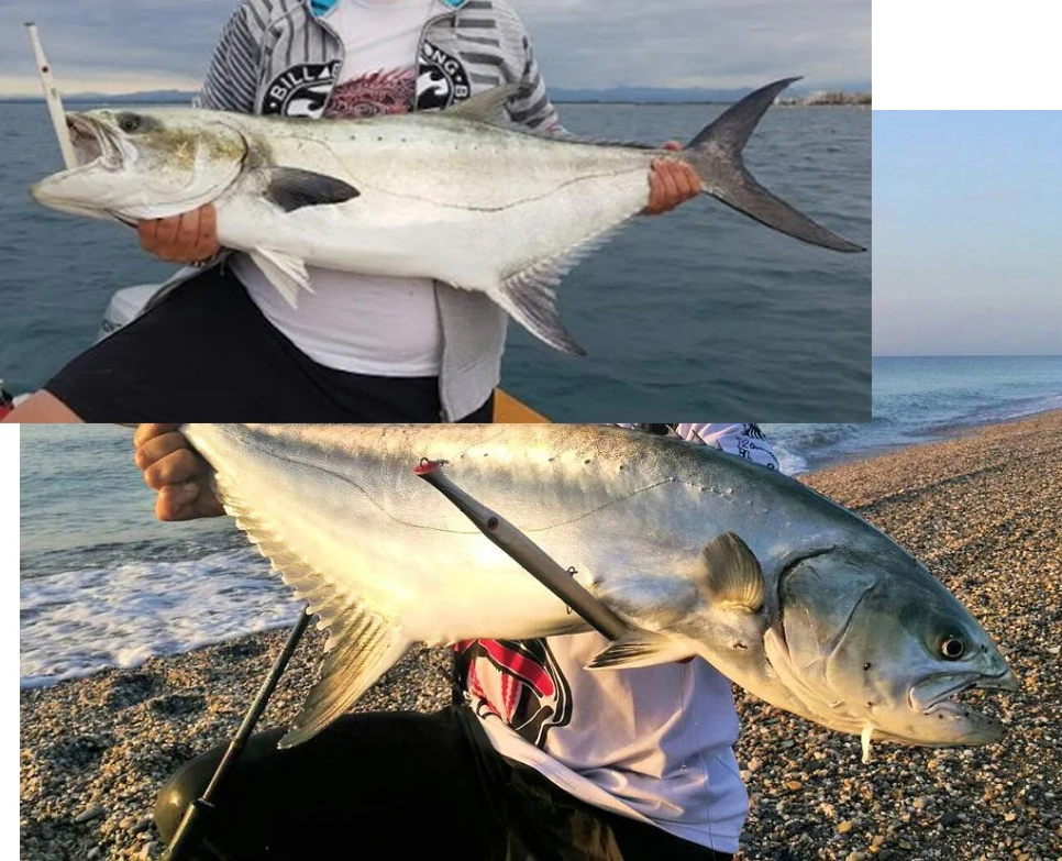 Hunthouse рыболовная приманка Barracuda swimbait воббер карандаш stickbait тонущий морской бас leerfish тунец синяя рыба Don Belone приманки