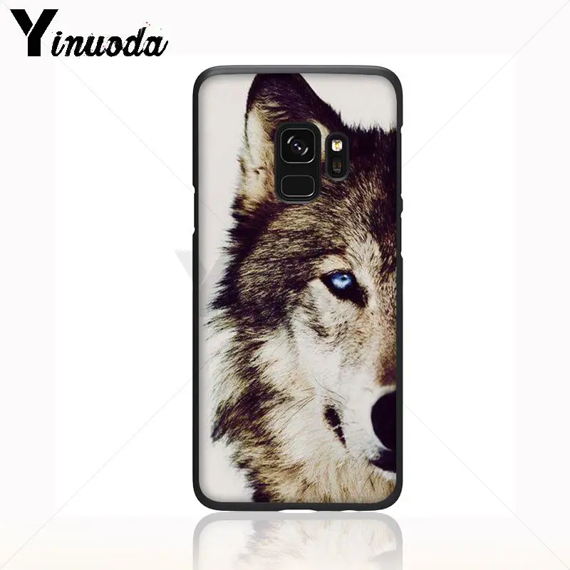 cool half Wolf face animal