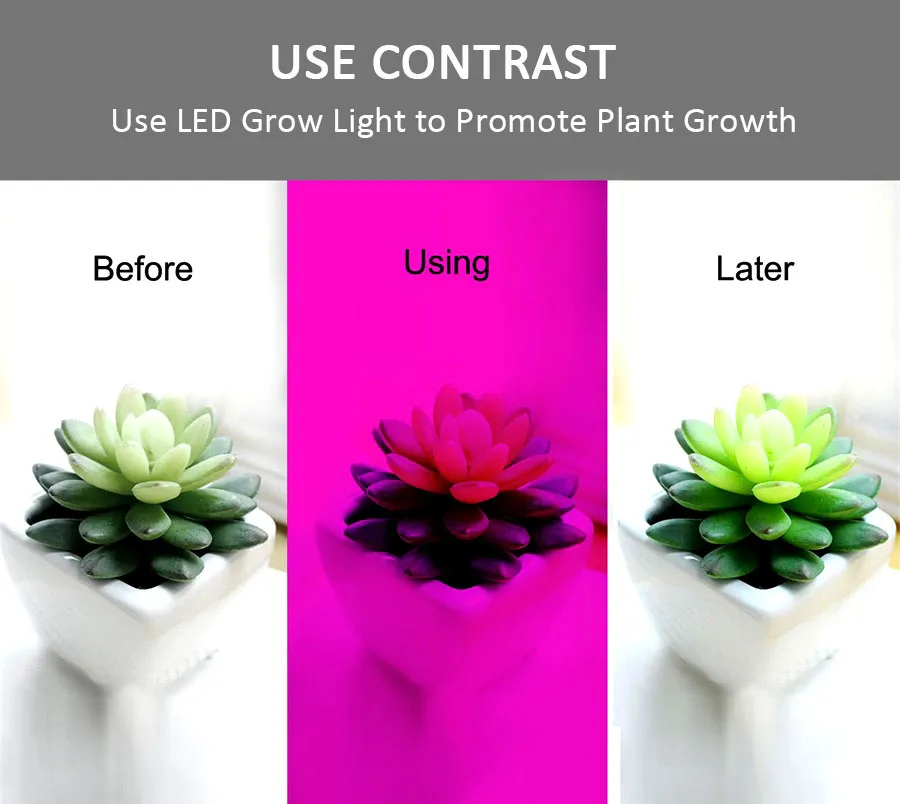 LED Plant Grow Lights  13