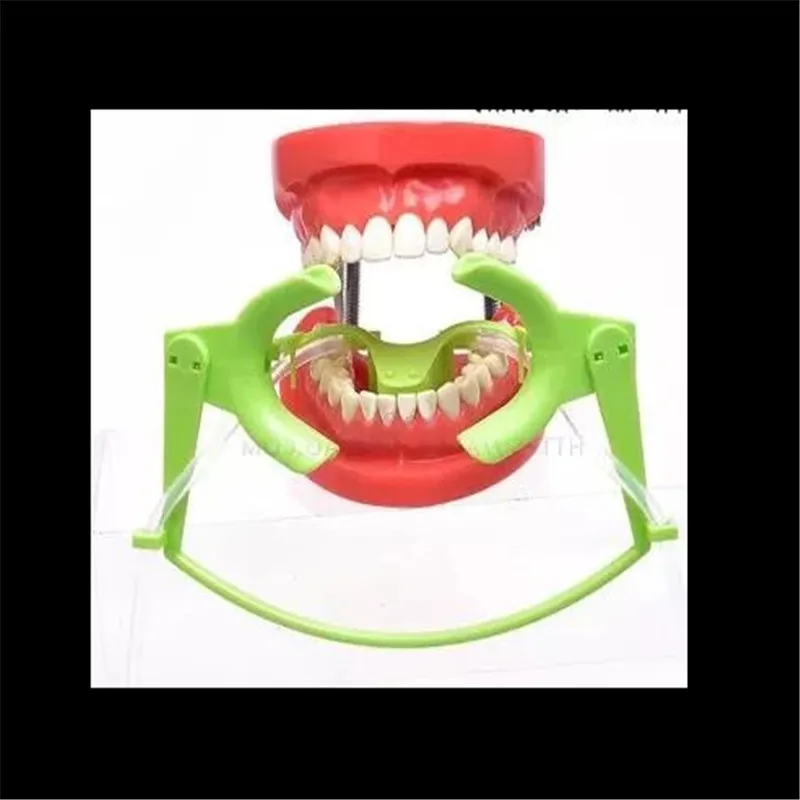 

A0275 New 1 Pcs Orthodontic Cheek Retractor with Salive Suction Function Mouth Opener Suit for Teeth Whitening and Orthodontic