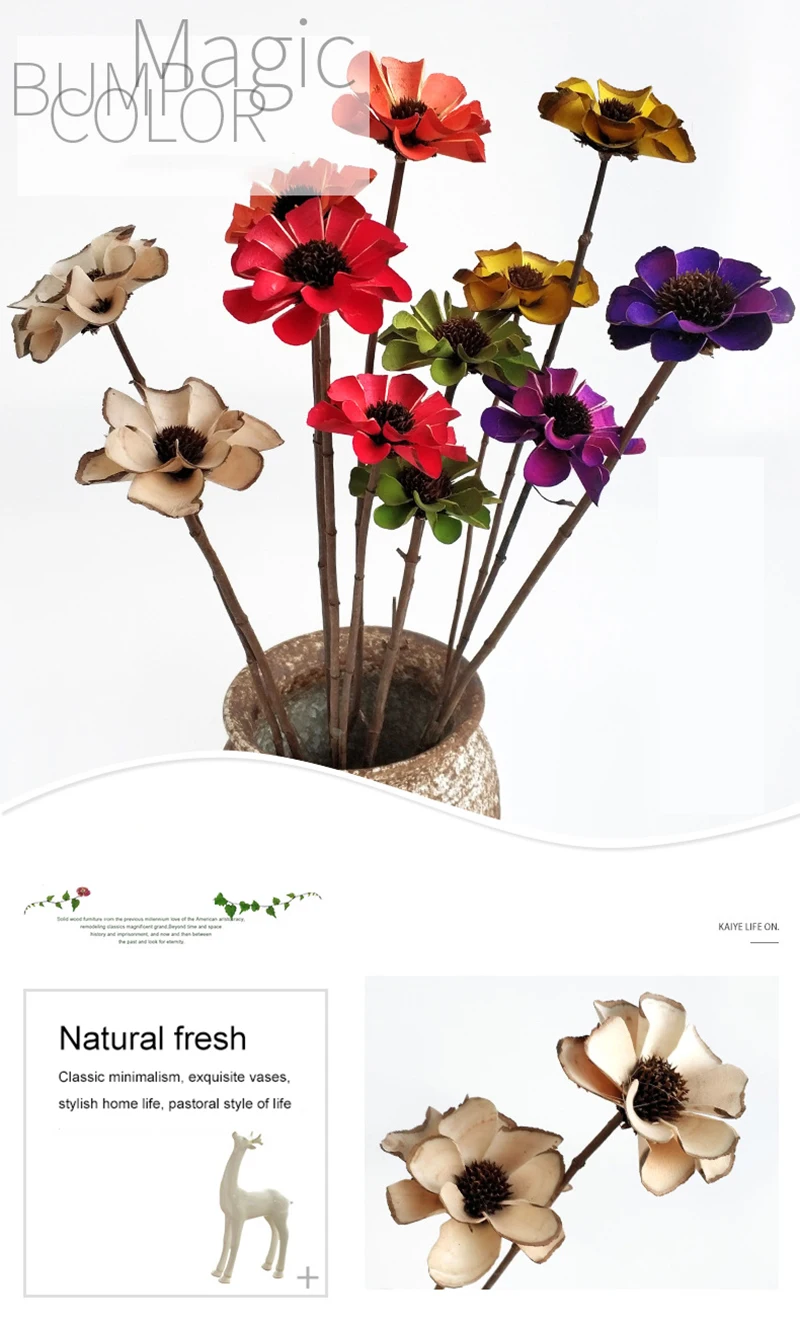 images01