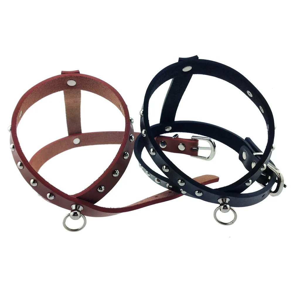 dog_harness_88016