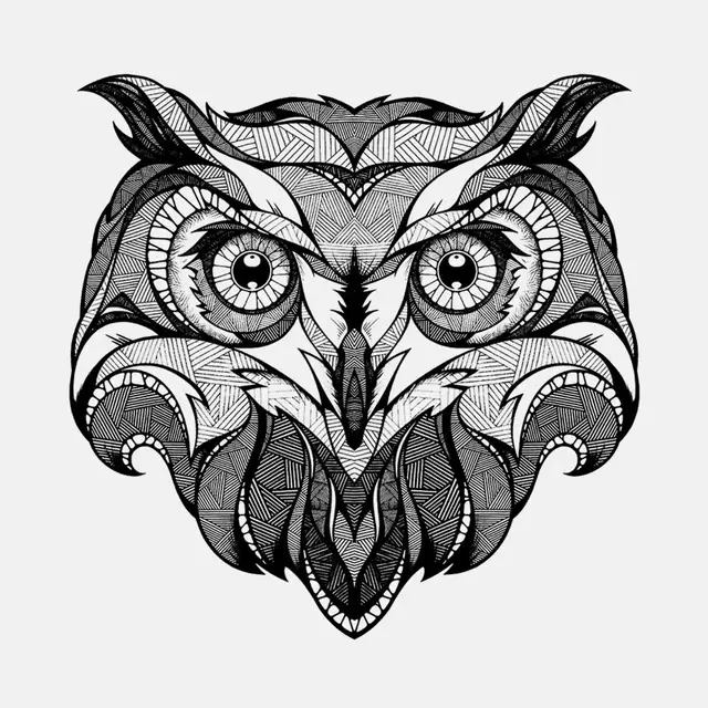 Gambar Burung Hantu Hitam Putih Keren Gambar Burung Wallpaper