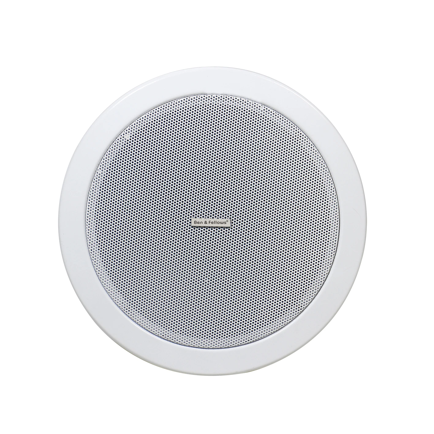 dante ceiling speaker