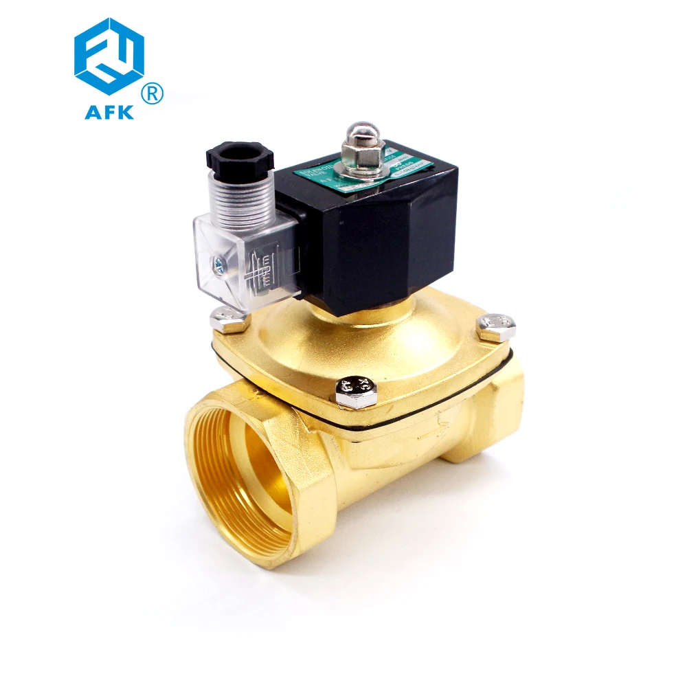 

DN50 2"normally closed 110VAC 220VAC Solenoid Valve for LPG Gas