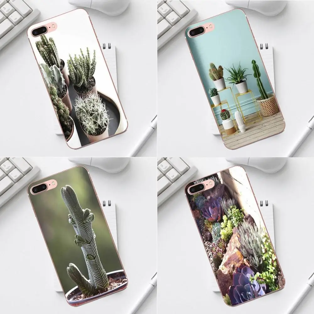Кактус Potting для iPhone 4 4S 5 5C SE 6 6S 7 8 Plus X XS Max XR Galaxy A3 A5 J1 J3 J5 J7 2017 прозрачный TPU чехол