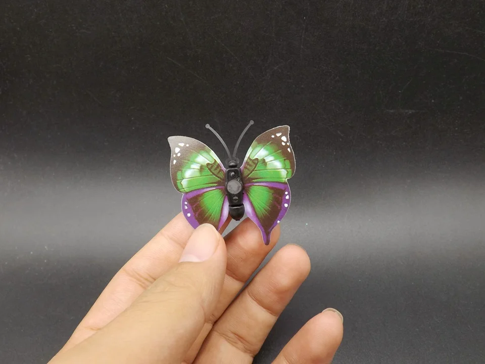 I253-Butterfly (4)