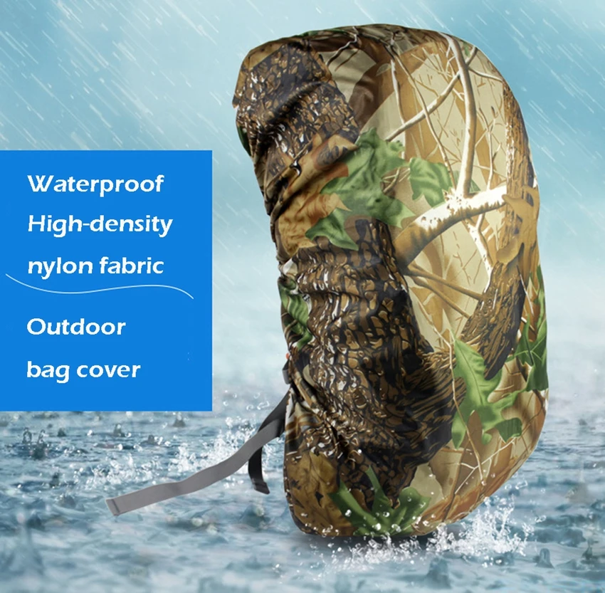 3978728951_34131929304