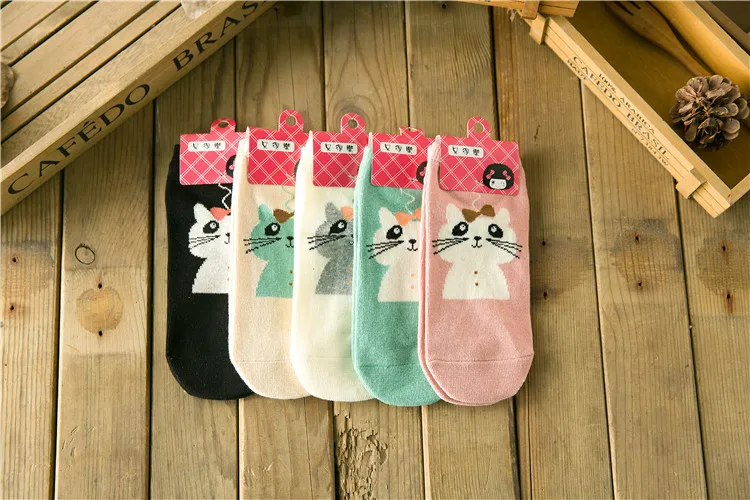 2725996724_1782715350