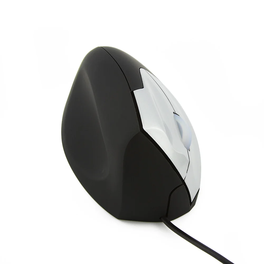 computer mouse 