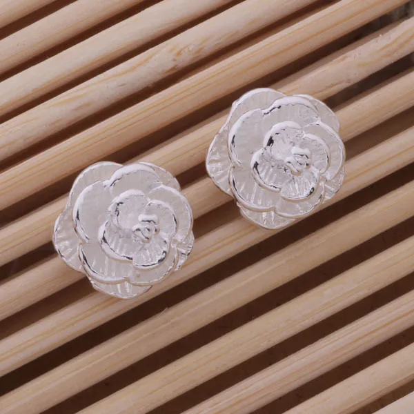 

wholesale Earring silver Fashion jewelry errrings WE-283