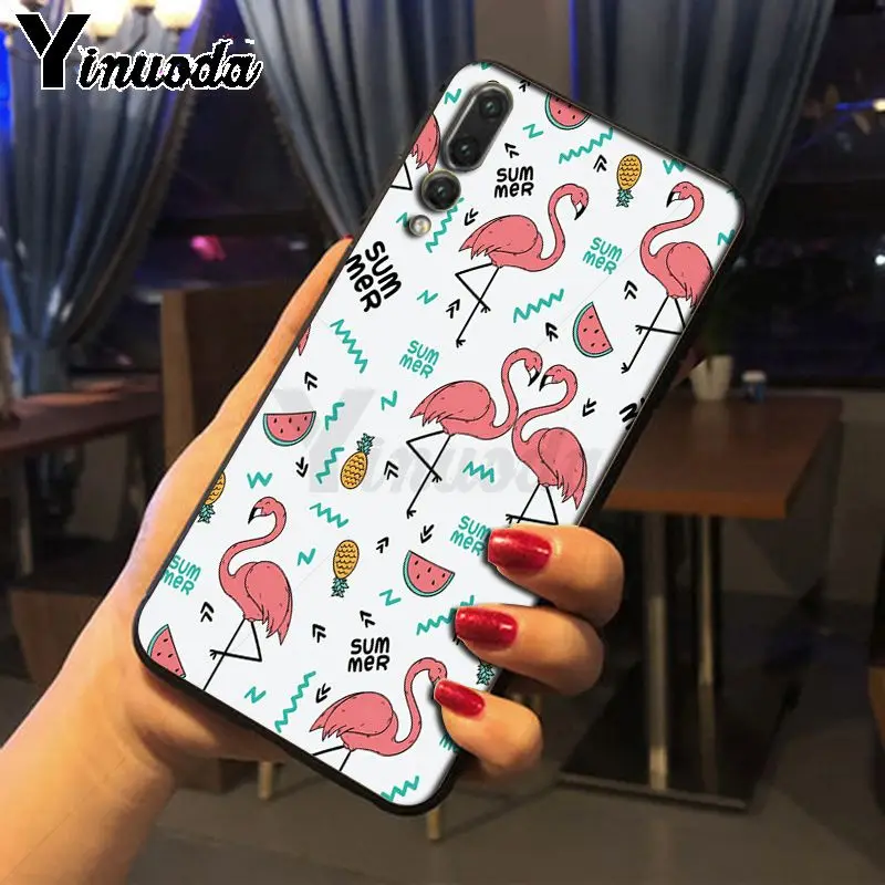 Colorful Flamingo