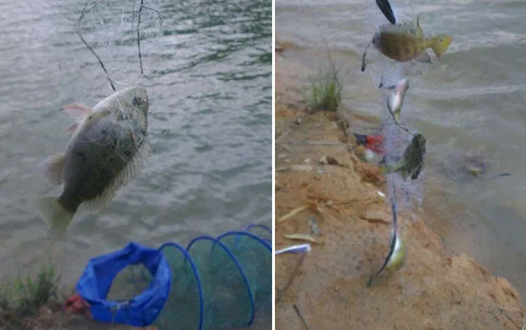 Copper Spring Shoal Fishing Net with Night Luminous Beads Ball Bearing Solid Ring Fishing Connector Freshwater Tool Tackle river (2)