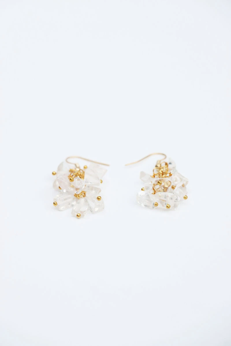 Earrings84