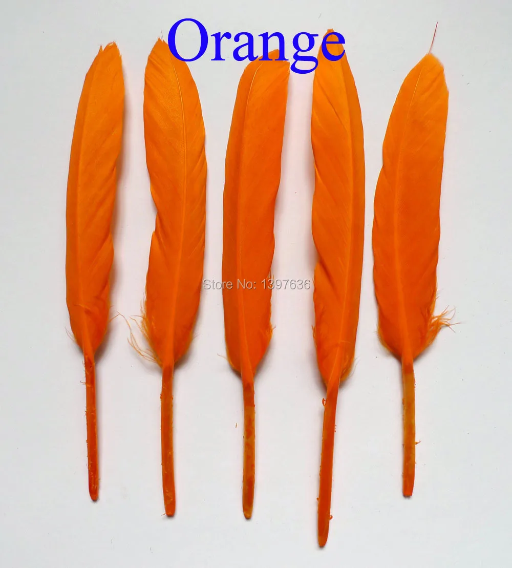 P1020550