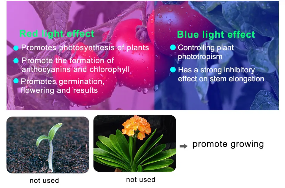 dual head led grow lamp (7)