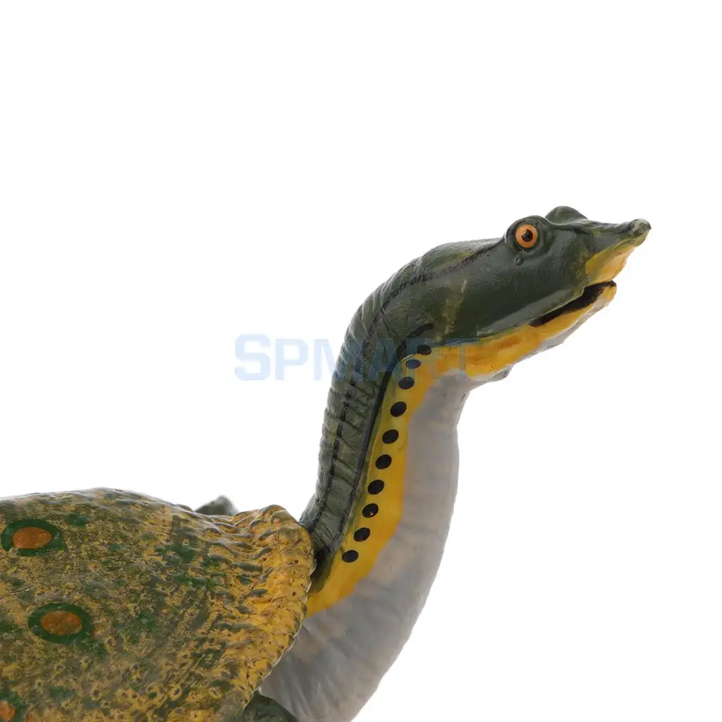 Animals Figure Toys Sea Soft-shelled turtle Animals Model Aquarium Toys Realistic Wild Pastic Figurine Animal Developmental Toy