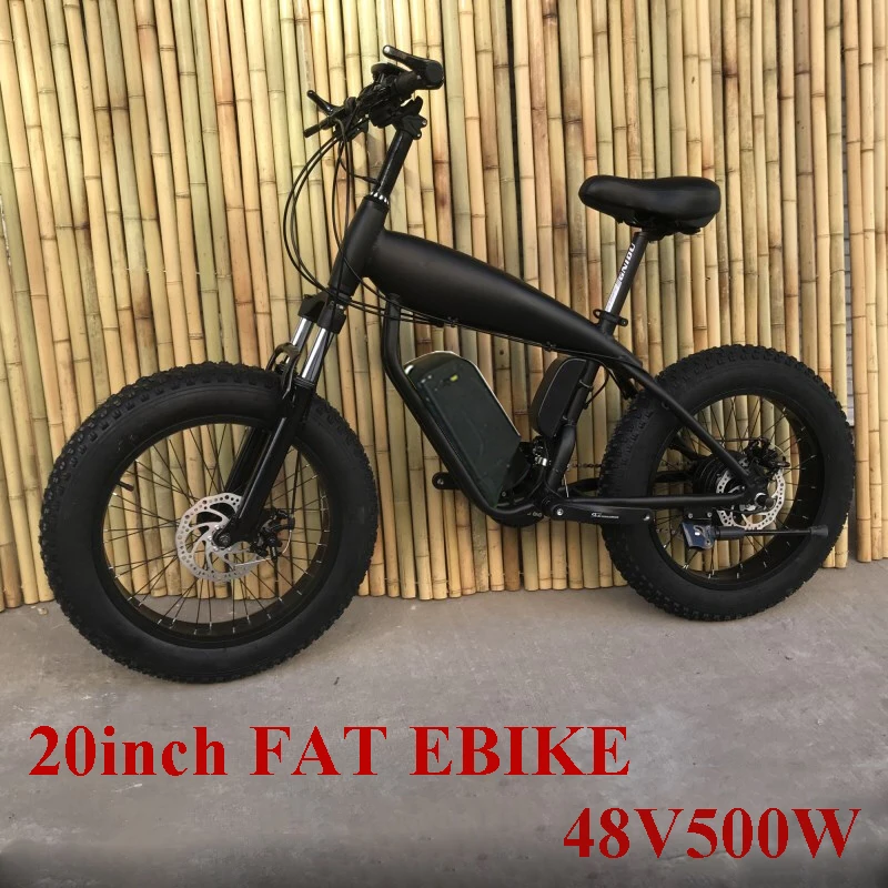 fat bike 1500 watt
