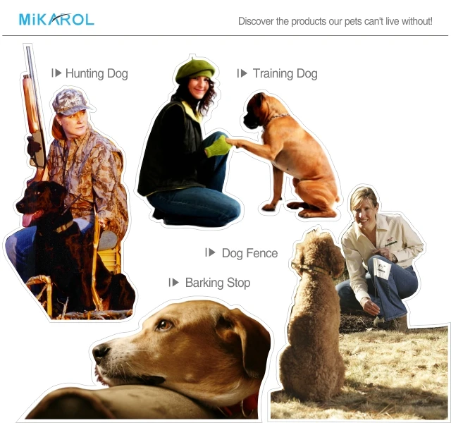 Dog Training Collar