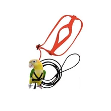 Anti-mordida voando treinamento corda papagaio pássaro animal de estimação trela kits ultralight arreios trela macio portátil brinquedos para animais de estimação