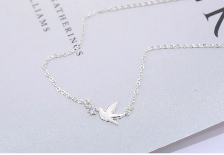 8887599684_823318017