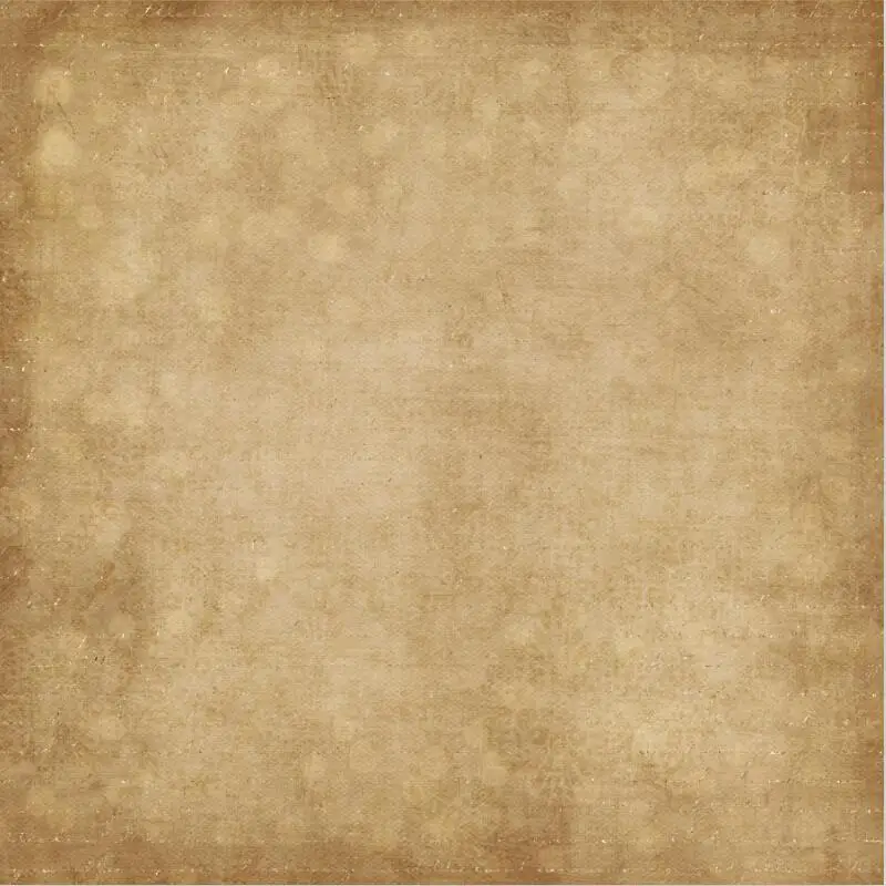 

10x10ft  Vinyl Custom Vintage theme Photography Backdrops Prop Studio Background HU-05251