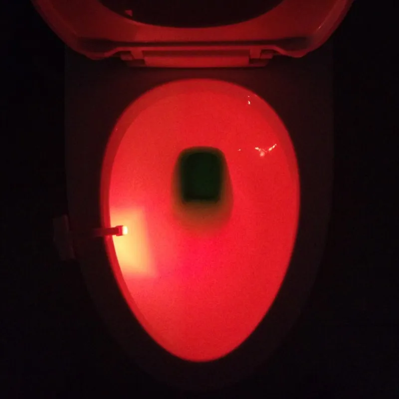9094244790_1354558612_