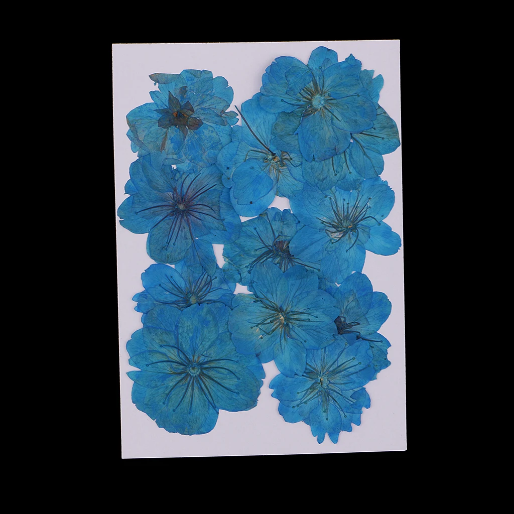 12 шт. настоящие прессованные/сушеные цветы вишни украшения окрашенные синие цветы для изготовления ювелирных изделий полимерный литой, свечи, мыло