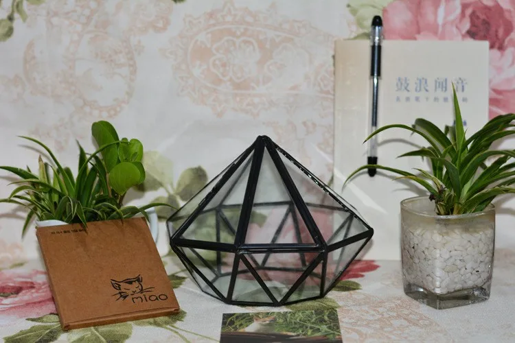Diamond Geometric Polyhedron Glass Terrarium1