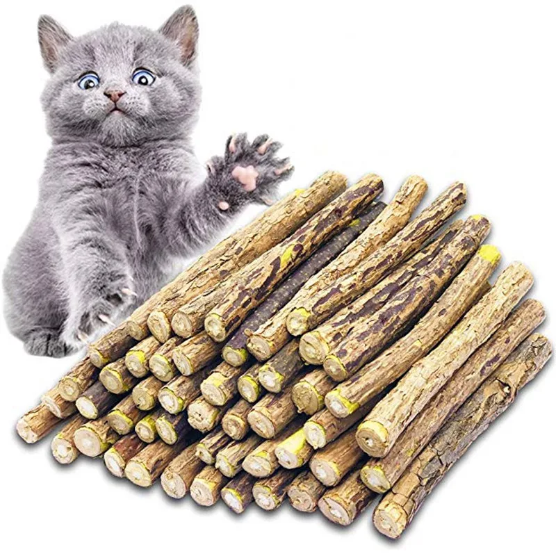 

Cat Cleaning Teeth Pure Natural Catnip Pet Cat Molar Toothpaste Stick Matatabi Actinidia Fruit Silvervine Cat Snacks Sticks