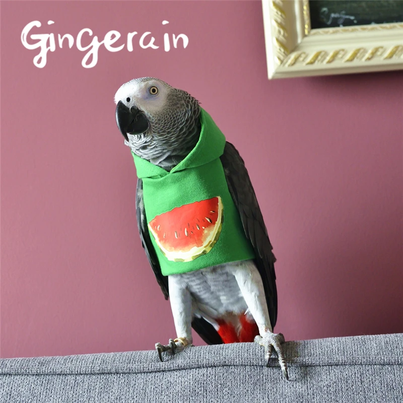 Gingerain одежда с птицами попугай одежда арбуз ручной работы на заказ одежда с птицами HoodedSweater арбуз