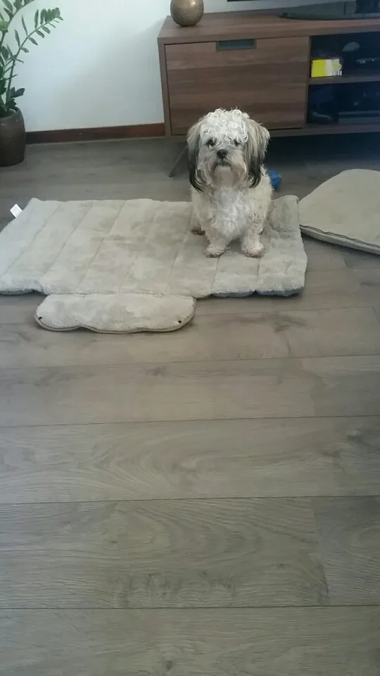 UT8k1kdXWBXXXagOFbXG