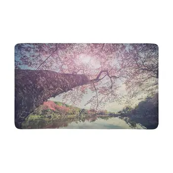 

Cherry Blossom in Chiang Mai Thailand Indoor Entrance Rug Floor Mats Shoe Scraper Doormat
