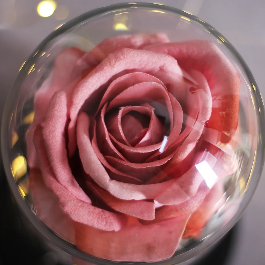 LED Eternal Flower Immortal Flora Light Up Dome Beauty and The Beast Rose In A Flask Valentine's Day Birthday Christmas Day Gift