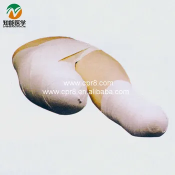 

BIX-LV12Advanced Low Part wrap Model Medical Supplies W008