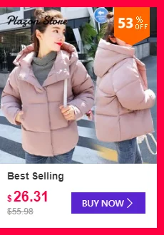 dianxiaobao