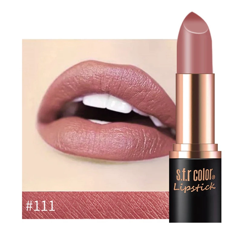 New Matte Lipstick 12color Easy To Wear Waterproof Long-lasting Matte Lip Gloss Lipstick Lady Sexy Lipstick Lip Balm TSLM2 - Color: 111