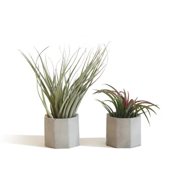 

Mini Succulent plants pot molds concrete flowerpot moulds Silicone garden planter mold