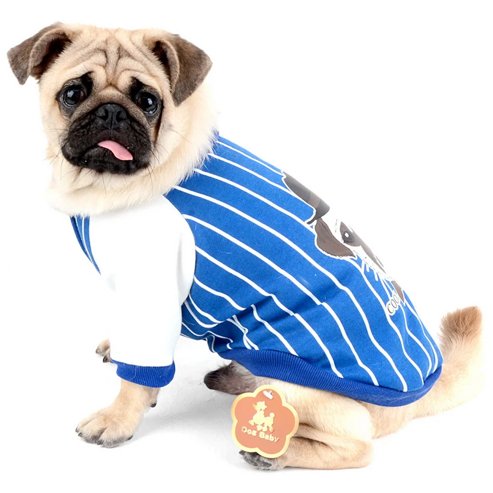 bulldogs sweater
