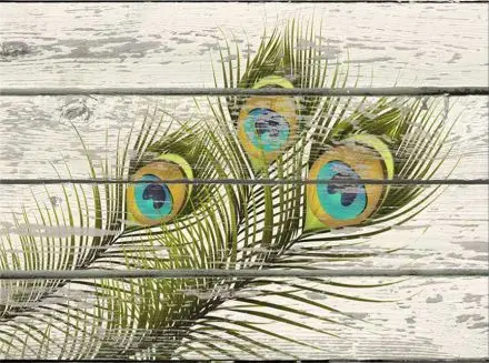 

Free Shipping ( Feather) canvas prints oil painting printed on canvas wall art decoration picture Home Decor Artwork XJDP-18