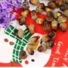 20pcs 3.3x2.3cm Artificial Simulation Small Acorn Plant Wedding Decoration Fake Fruit Christmas Home Decor Photography Props ► Photo 2/6