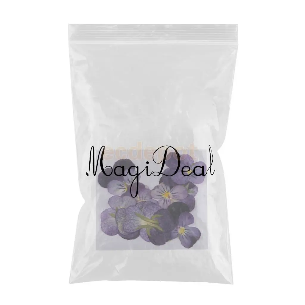 MagiDeal 12 Pieces Pressed Natural Dried Flowers Violet Flower for Art Craft Scrapbooking handmade bookmarks craft accessories,