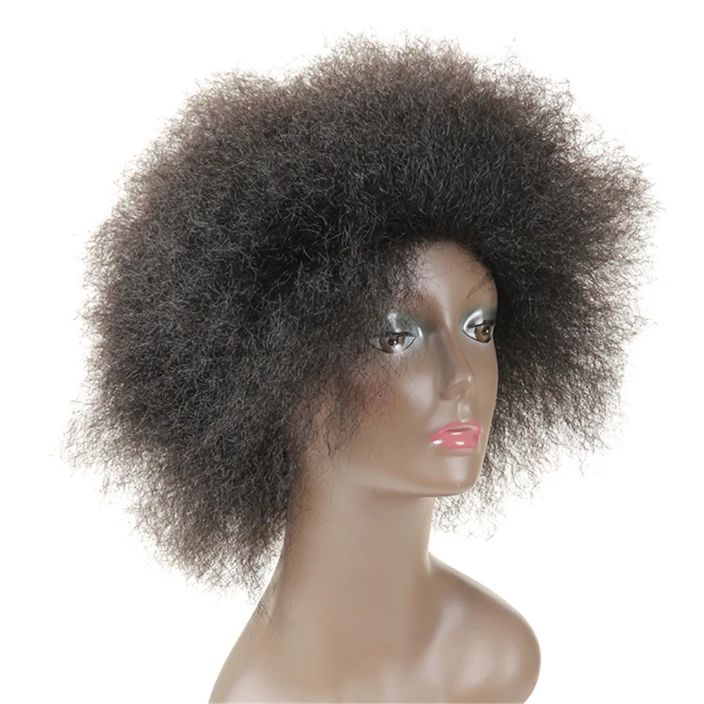 Feibin Afro Short Wig For Black Women Full Head Kinky ...