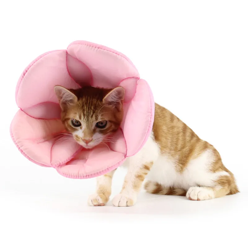 Собачий ошейник из мягкой пены защитный для восстановления ран и