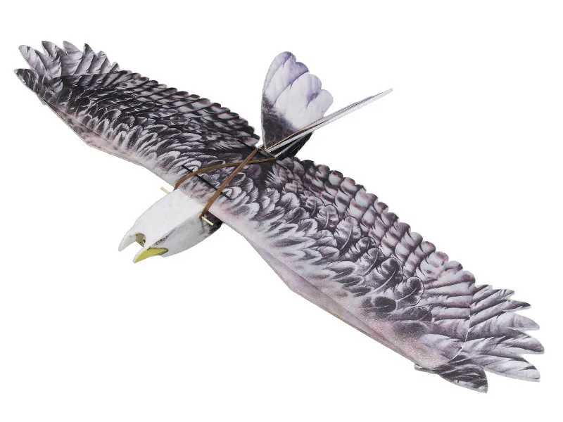 RC Airplane EPP Airplane Model Eagle RC Wingspan 1430mm Eagle EPP Slow Flyerin RC Airplanes