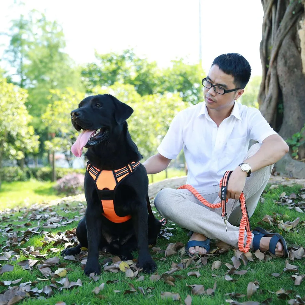 

Large Dogs Collars Reflective Vest Wiring Harness Breakaway Dogs Harnesses Quick Release Goods For Dog Reflective Training Dog