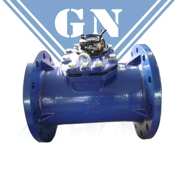 

DN65 water flow gague