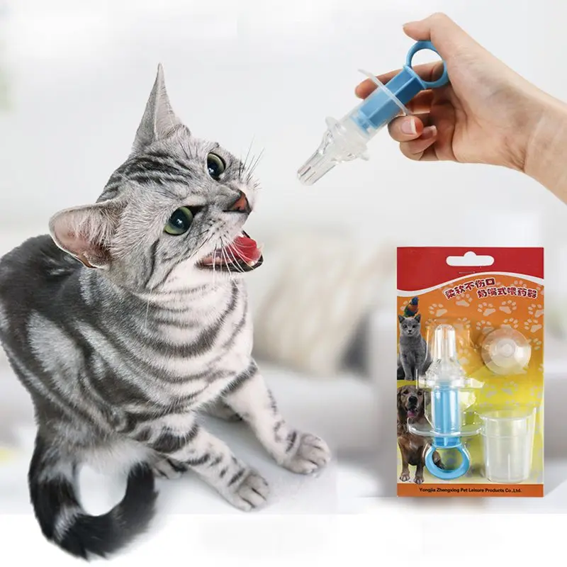 syringe for kitten